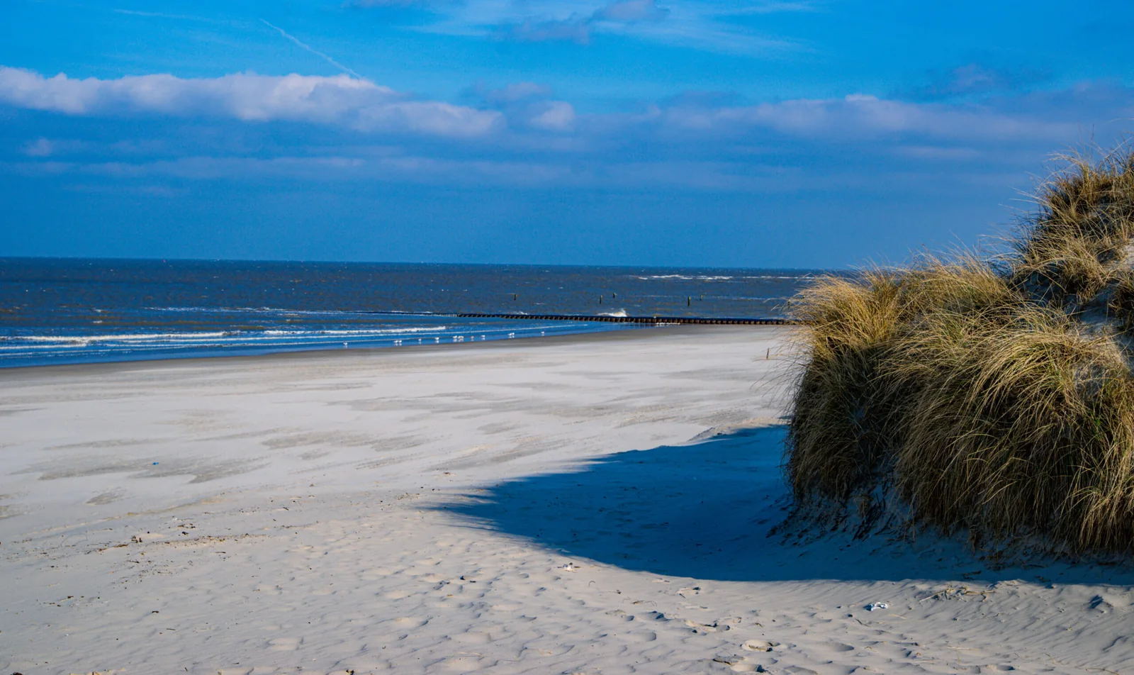 Strand und Dünen auf Norderney